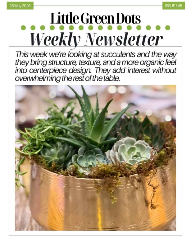 260528-Succulents-Part-1