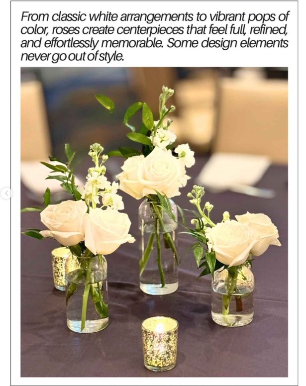 260716-Roses-02
