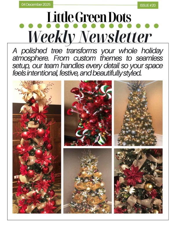 A polished tree transforms your whole holiday atmosphere. From custom themes to seamless setup, our team handles every detail so your space feels intentions, festive, and beautifully designed.