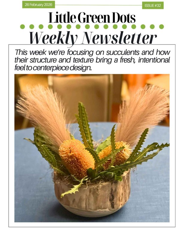 This week we're focusing on succulents and how their structure and texture bring a fresh, intentional feelto centerpiece design.