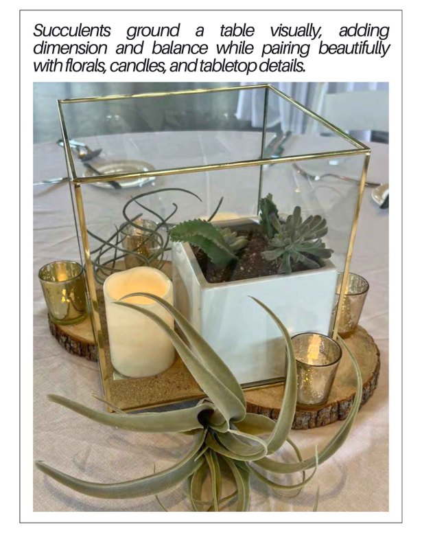 Succulents ground a table visually, adding dimension and balance while pairing beautifully with florals, candles, and tabletop details.