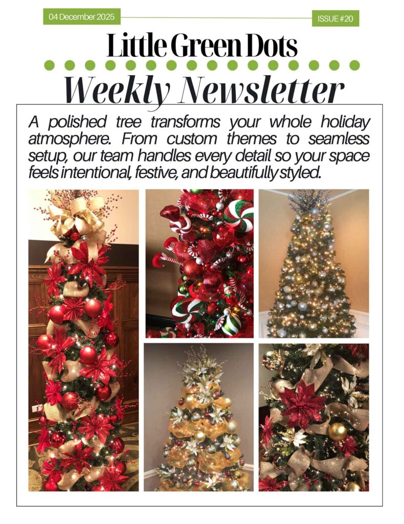 A polished tree transforms your whole holiday atmosphere. From custom themes to seamless setup, our team handles every detail so your space feels intentions, festive, and beautifully designed.