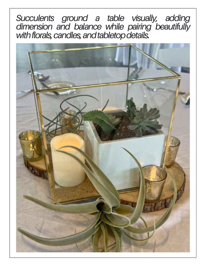 Succulents ground a table visually, adding dimension and balance while pairing beautifully with florals, candles, and tabletop details.